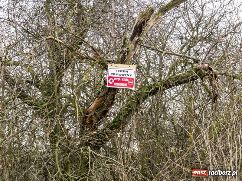Zdjęcie w galerii na portalu naszraciborz.pl: Polówka, księżycówka i rondo przy Mechaniku. Prezydent szuka pomysłu jak usprawnić ruch w Raciborzu wiadomości z regionu