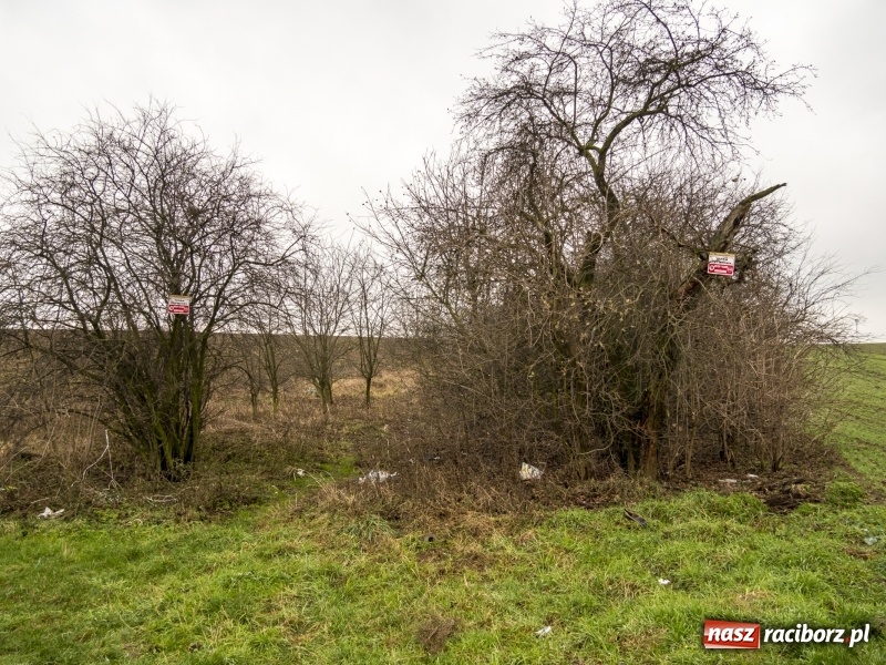 Zdjęcie w galerii na portalu naszraciborz.pl: Polówka, księżycówka i rondo przy Mechaniku. Prezydent szuka pomysłu jak usprawnić ruch w Raciborzu wiadomości z regionu