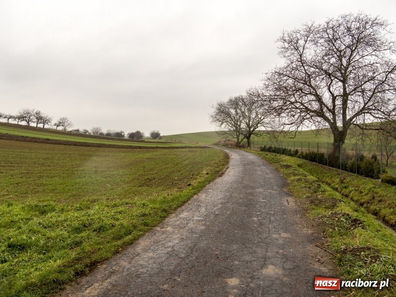 Zdjęcie w galerii na portalu naszraciborz.pl: Polówka, księżycówka i rondo przy Mechaniku. Prezydent szuka pomysłu jak usprawnić ruch w Raciborzu wiadomości z regionu