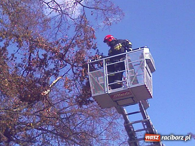 Zdjęcie w galerii na portalu naszraciborz.pl: Powiało i zamieszało wiadomości z regionu