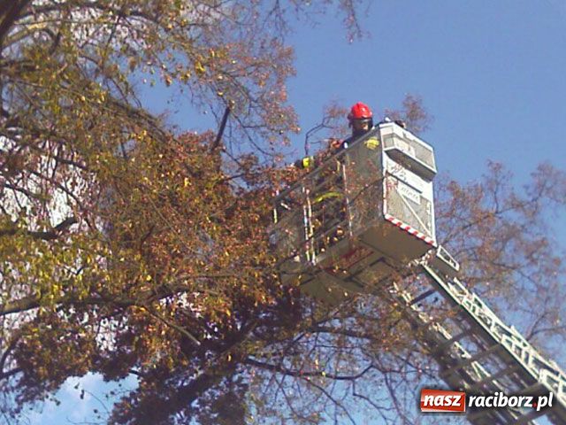 Zdjęcie w galerii na portalu naszraciborz.pl: Powiało i zamieszało wiadomości z regionu