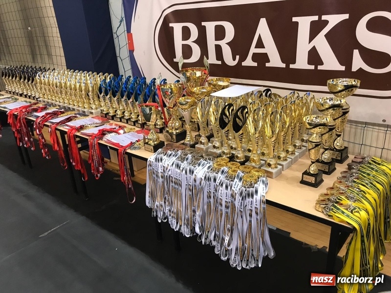 Zdjęcie w galerii na portalu naszraciborz.pl: Siedem złotych krążków Łamatorów  wiadomości z regionu