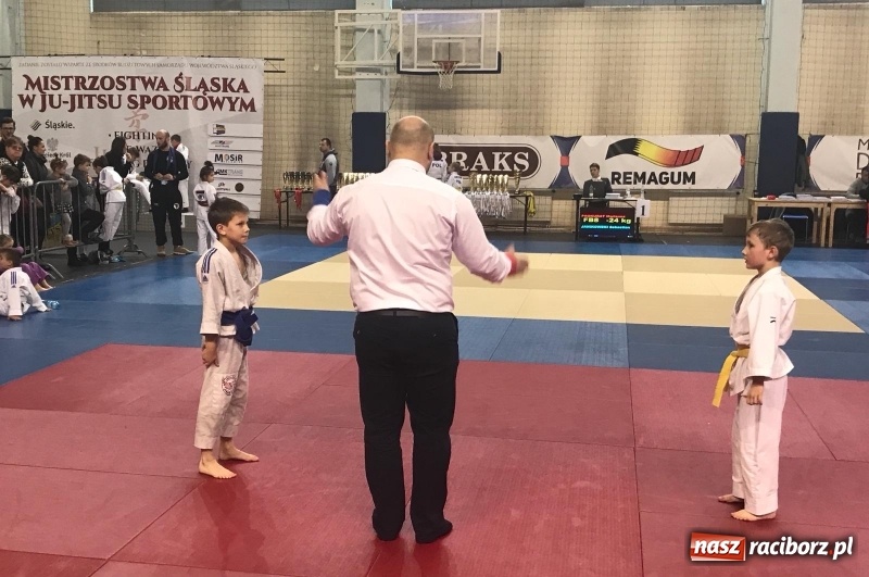 Zdjęcie w galerii na portalu naszraciborz.pl: Siedem złotych krążków Łamatorów  wiadomości z regionu