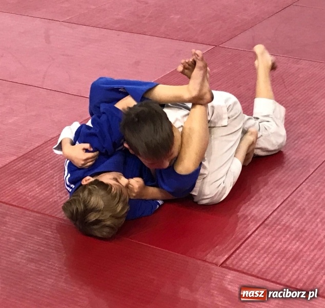 Zdjęcie w galerii na portalu naszraciborz.pl: Siedem złotych krążków Łamatorów  wiadomości z regionu