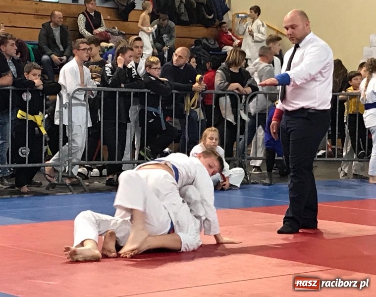 Zdjęcie w galerii na portalu naszraciborz.pl: Siedem złotych krążków Łamatorów  wiadomości z regionu