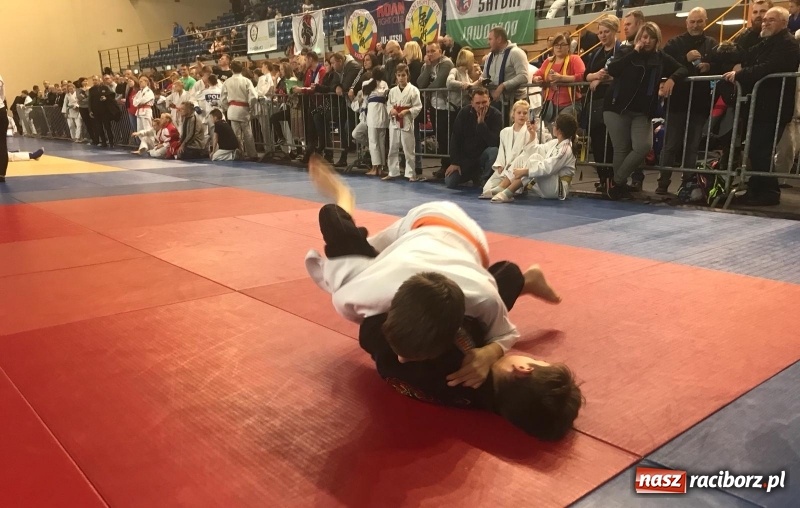 Zdjęcie w galerii na portalu naszraciborz.pl: Siedem złotych krążków Łamatorów  wiadomości z regionu