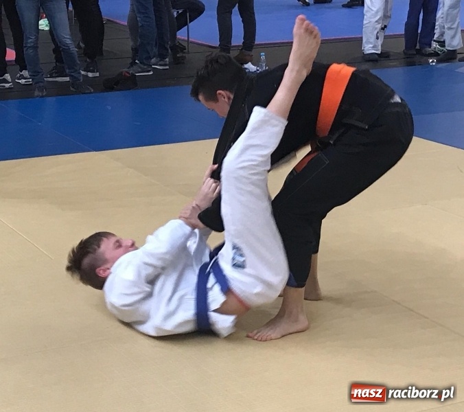 Zdjęcie w galerii na portalu naszraciborz.pl: Siedem złotych krążków Łamatorów  wiadomości z regionu