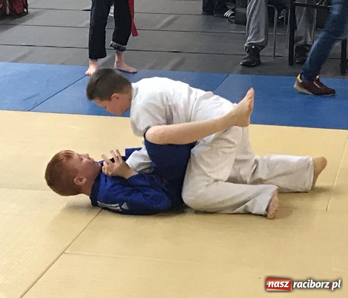 Zdjęcie w galerii na portalu naszraciborz.pl: Siedem złotych krążków Łamatorów  wiadomości z regionu