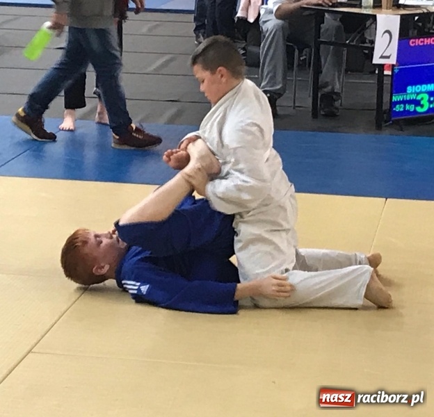 Zdjęcie w galerii na portalu naszraciborz.pl: Siedem złotych krążków Łamatorów  wiadomości z regionu