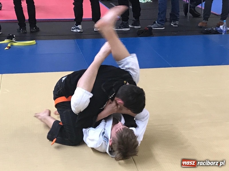 Zdjęcie w galerii na portalu naszraciborz.pl: Siedem złotych krążków Łamatorów  wiadomości z regionu