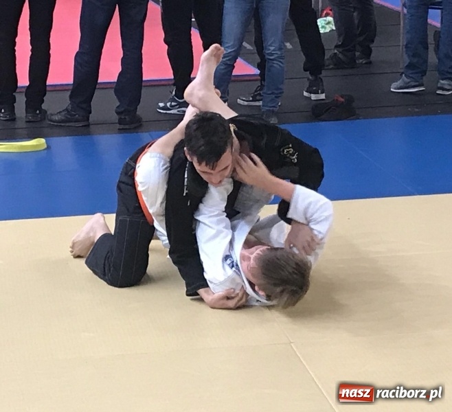 Zdjęcie w galerii na portalu naszraciborz.pl: Siedem złotych krążków Łamatorów  wiadomości z regionu