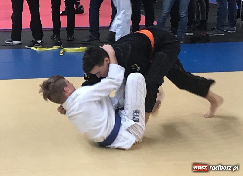 Zdjęcie w galerii na portalu naszraciborz.pl: Siedem złotych krążków Łamatorów  wiadomości z regionu