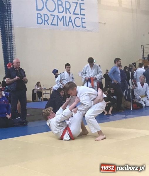 Zdjęcie w galerii na portalu naszraciborz.pl: Siedem złotych krążków Łamatorów  wiadomości z regionu