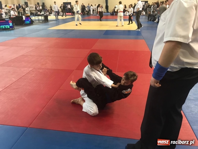 Zdjęcie w galerii na portalu naszraciborz.pl: Siedem złotych krążków Łamatorów  wiadomości z regionu