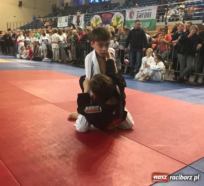 Zdjęcie w galerii na portalu naszraciborz.pl: Siedem złotych krążków Łamatorów  wiadomości z regionu