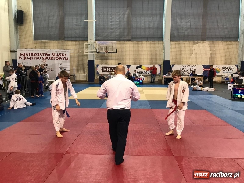 Zdjęcie w galerii na portalu naszraciborz.pl: Siedem złotych krążków Łamatorów  wiadomości z regionu