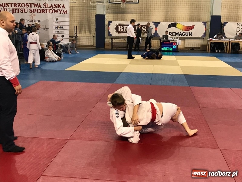 Zdjęcie w galerii na portalu naszraciborz.pl: Siedem złotych krążków Łamatorów  wiadomości z regionu