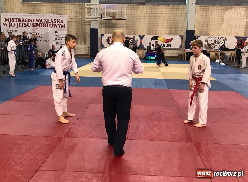 Zdjęcie w galerii na portalu naszraciborz.pl: Siedem złotych krążków Łamatorów  wiadomości z regionu