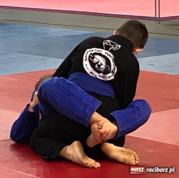 Zdjęcie w galerii na portalu naszraciborz.pl: Siedem złotych krążków Łamatorów  wiadomości z regionu