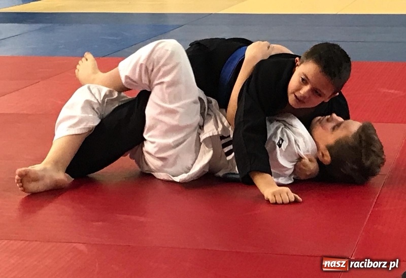 Zdjęcie w galerii na portalu naszraciborz.pl: Siedem złotych krążków Łamatorów  wiadomości z regionu