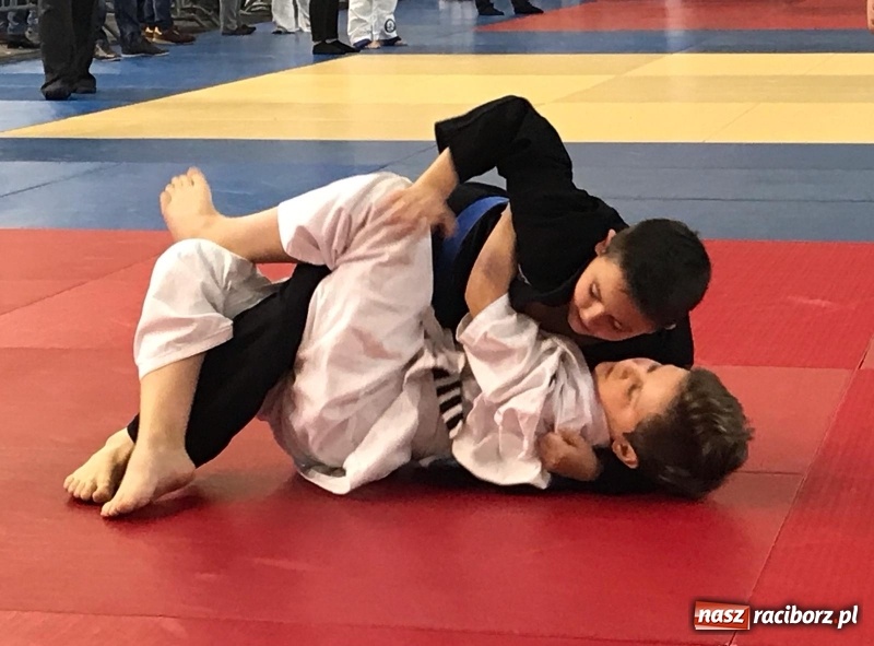 Zdjęcie w galerii na portalu naszraciborz.pl: Siedem złotych krążków Łamatorów  wiadomości z regionu