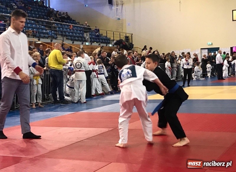 Zdjęcie w galerii na portalu naszraciborz.pl: Siedem złotych krążków Łamatorów  wiadomości z regionu