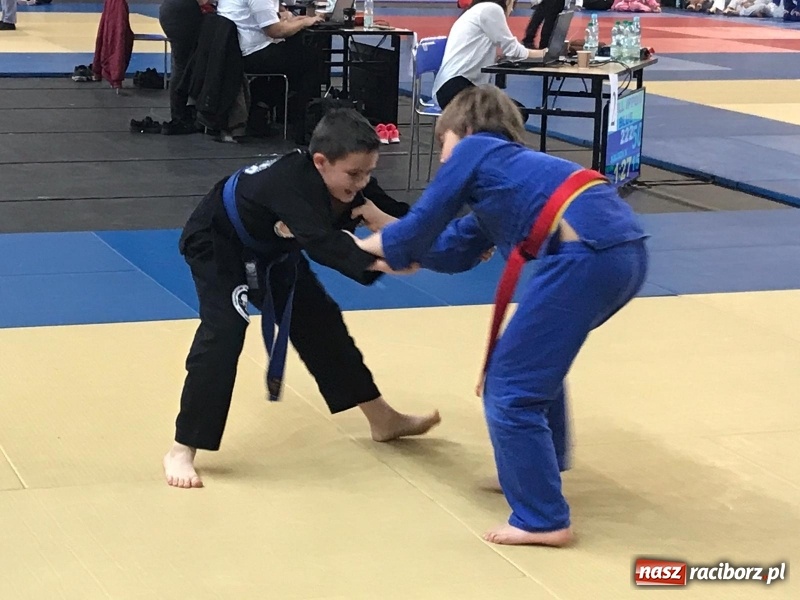 Zdjęcie w galerii na portalu naszraciborz.pl: Siedem złotych krążków Łamatorów  wiadomości z regionu