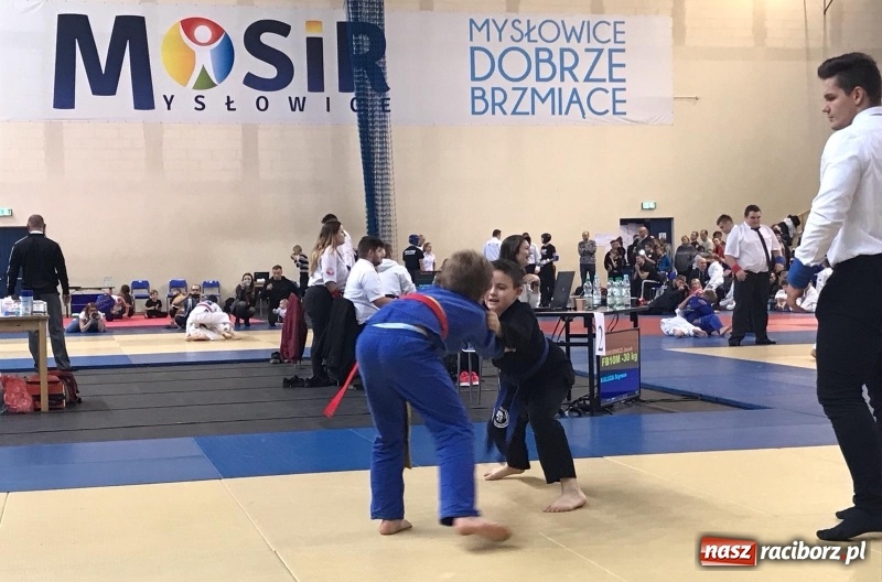 Zdjęcie w galerii na portalu naszraciborz.pl: Siedem złotych krążków Łamatorów  wiadomości z regionu