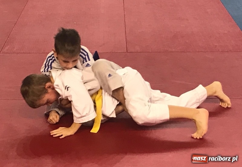 Zdjęcie w galerii na portalu naszraciborz.pl: Siedem złotych krążków Łamatorów  wiadomości z regionu