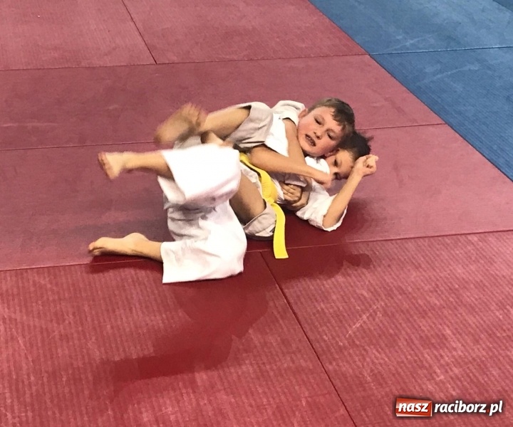 Zdjęcie w galerii na portalu naszraciborz.pl: Siedem złotych krążków Łamatorów  wiadomości z regionu