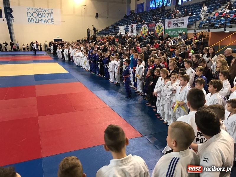 Zdjęcie w galerii na portalu naszraciborz.pl: Siedem złotych krążków Łamatorów  wiadomości z regionu