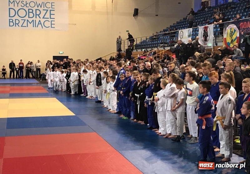 Zdjęcie w galerii na portalu naszraciborz.pl: Siedem złotych krążków Łamatorów  wiadomości z regionu