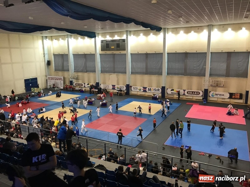 Zdjęcie w galerii na portalu naszraciborz.pl: Siedem złotych krążków Łamatorów  wiadomości z regionu