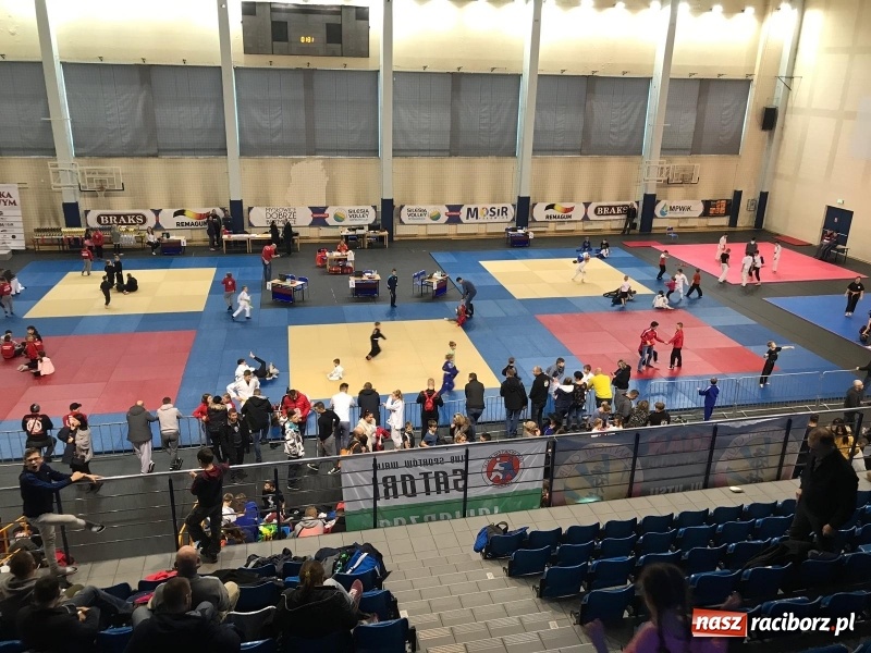 Zdjęcie w galerii na portalu naszraciborz.pl: Siedem złotych krążków Łamatorów  wiadomości z regionu