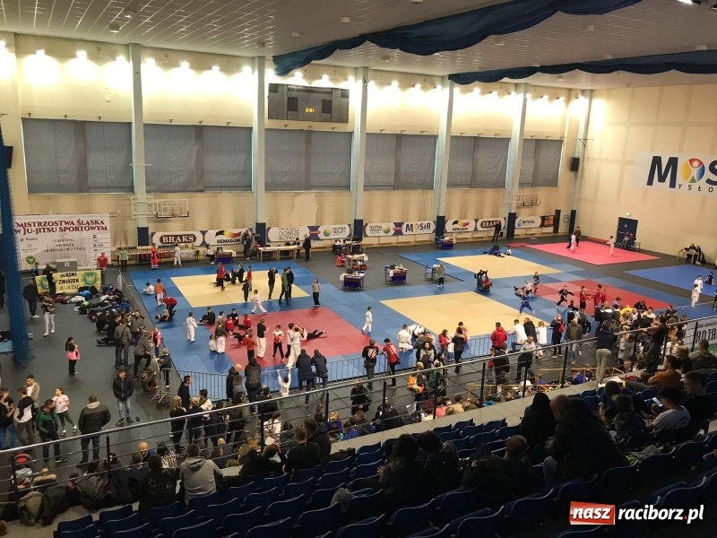 Zdjęcie w galerii na portalu naszraciborz.pl: Siedem złotych krążków Łamatorów  wiadomości z regionu