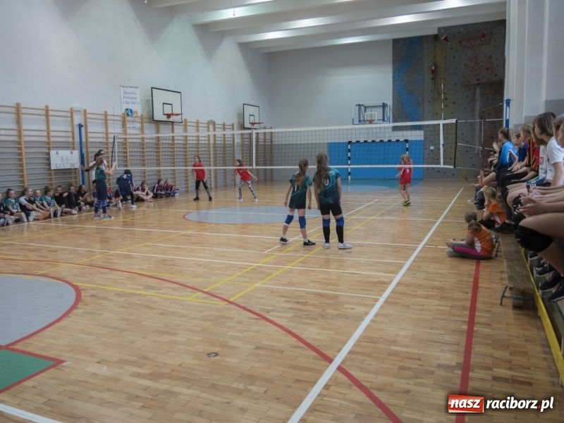 Zdjęcie w galerii na portalu naszraciborz.pl: Mikołajkowy Turniej Dwójek Siatkarskich Dziewcząt w raciborskim MOS-ie wiadomości z regionu