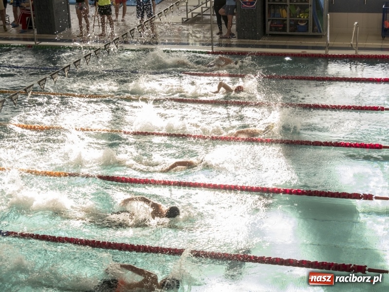 Zdjęcie w galerii na portalu naszraciborz.pl: Trwają Mistrzostwa Śląska 13-latków w pływaniu wiadomości z regionu