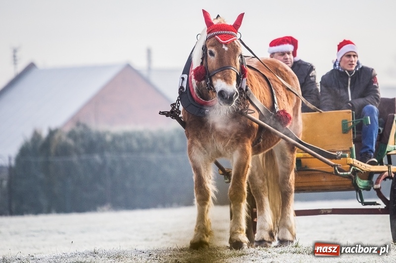 Zdjęcie w galerii na portalu naszraciborz.pl: Pradawnym zwyczajem w Krzanowicach przeszła dziś procesja konna na św. Mikołaja FOTO i WIDEO wiadomości z regionu