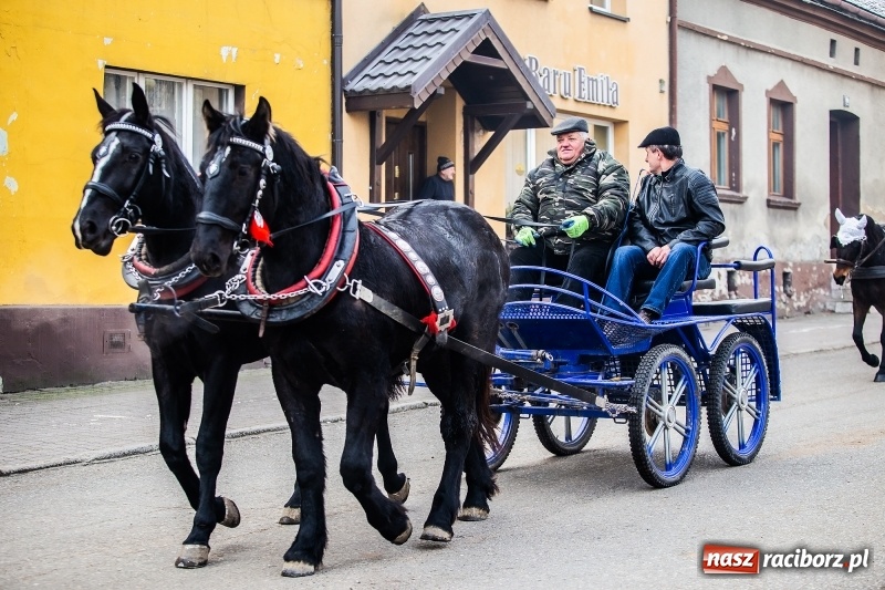 Zdjęcie w galerii na portalu naszraciborz.pl: Pradawnym zwyczajem w Krzanowicach przeszła dziś procesja konna na św. Mikołaja FOTO i WIDEO wiadomości z regionu