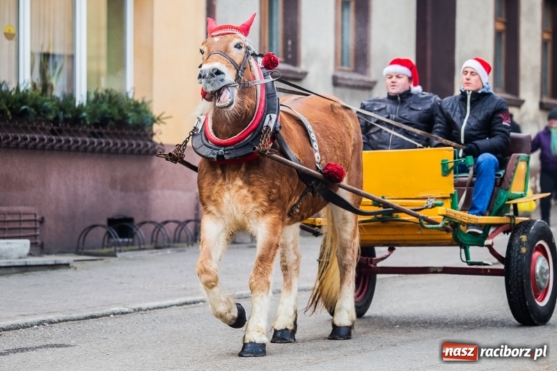 Zdjęcie w galerii na portalu naszraciborz.pl: Pradawnym zwyczajem w Krzanowicach przeszła dziś procesja konna na św. Mikołaja FOTO i WIDEO wiadomości z regionu