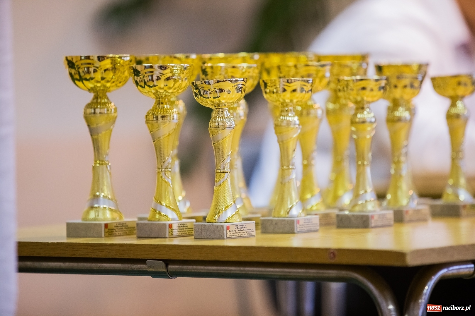 Zdjęcie w galerii na portalu naszraciborz.pl: Turniej tenisa stołowego o Puchar Bumistrza Krzanowic w Bojanowie wiadomości z regionu