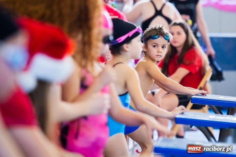 Zdjęcie w galerii na portalu naszraciborz.pl: Mikołajkowe Zawody Pływackie w ZSOMS w Raciborzu wiadomości z regionu
