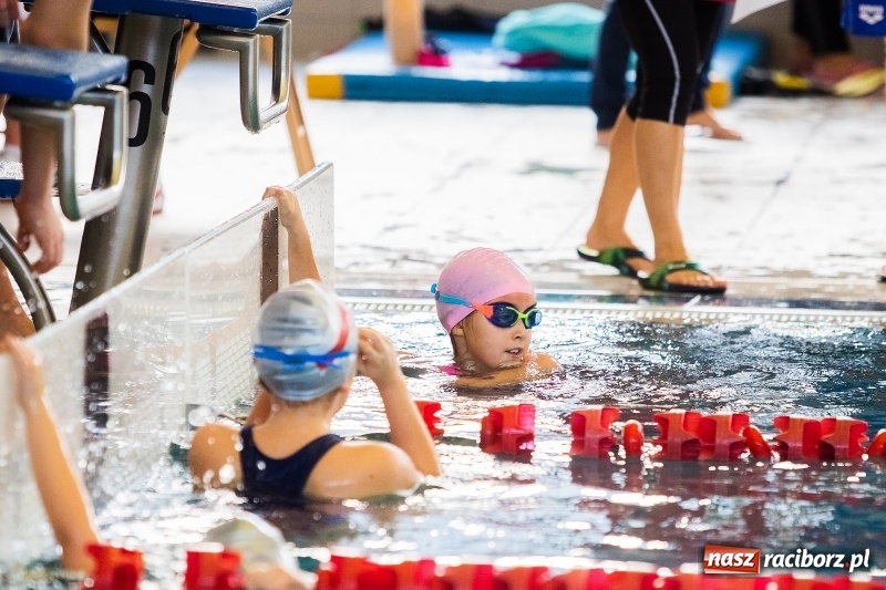 Zdjęcie w galerii na portalu naszraciborz.pl: Mikołajkowe Zawody Pływackie w ZSOMS w Raciborzu wiadomości z regionu
