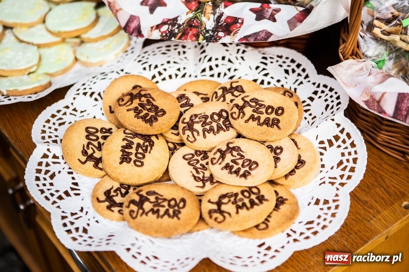 Zdjęcie w galerii na portalu naszraciborz.pl: II Festiwal Ubranek – psia moda w roli głównej FOTO i WIDEO wiadomości z regionu