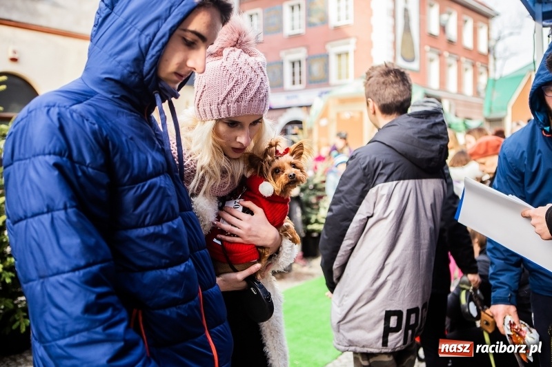 Zdjęcie w galerii na portalu naszraciborz.pl: II Festiwal Ubranek – psia moda w roli głównej FOTO i WIDEO wiadomości z regionu