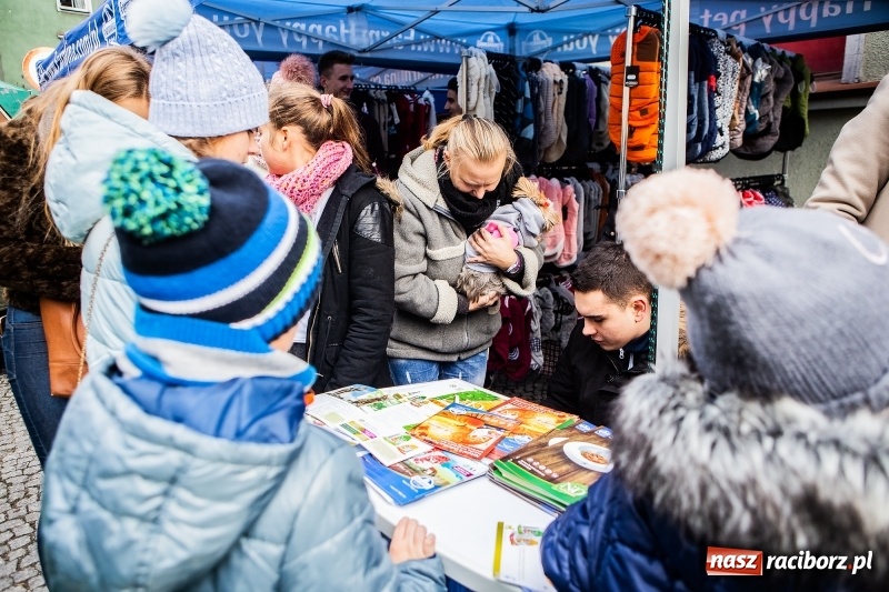Zdjęcie w galerii na portalu naszraciborz.pl: II Festiwal Ubranek – psia moda w roli głównej FOTO i WIDEO wiadomości z regionu