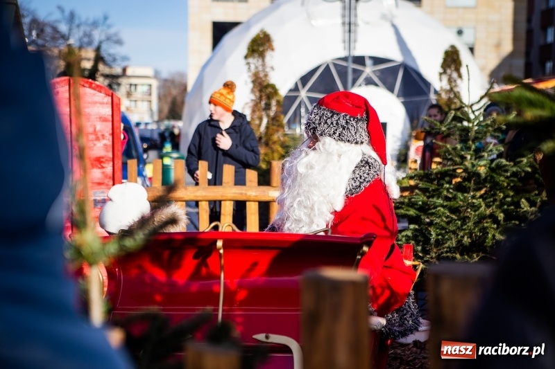 Zdjęcie w galerii na portalu naszraciborz.pl: Zagroda z Mikołajem i żywymi reniferami na rynku wiadomości z regionu
