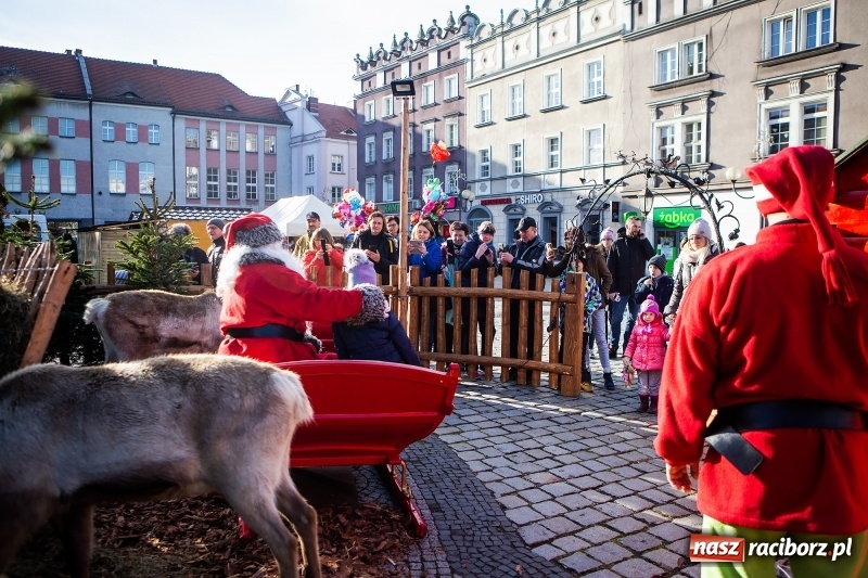 Zdjęcie w galerii na portalu naszraciborz.pl: Zagroda z Mikołajem i żywymi reniferami na rynku wiadomości z regionu