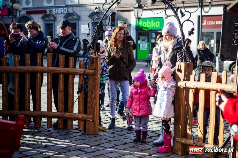 Zdjęcie w galerii na portalu naszraciborz.pl: Zagroda z Mikołajem i żywymi reniferami na rynku wiadomości z regionu