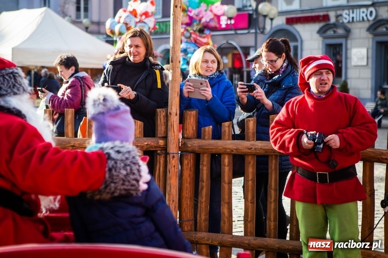 Zdjęcie w galerii na portalu naszraciborz.pl: Zagroda z Mikołajem i żywymi reniferami na rynku wiadomości z regionu